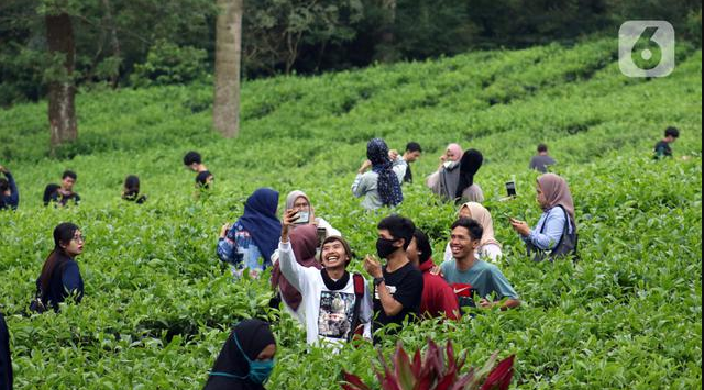 Ingin Wisata ke Puncak Bogor? Ikuti Tips Ini!