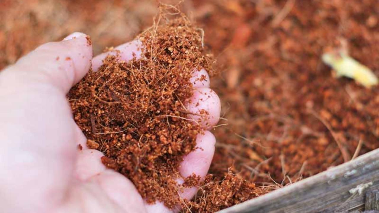 Cara Jual Cocopeat